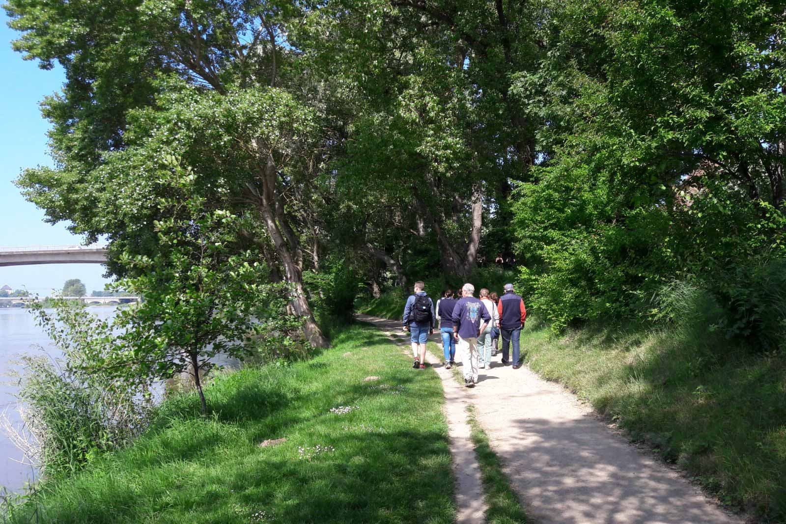 Ptite_balade_nature_Credit_Gregoire-Paquet-Val-de-Loire-Ecotourisme_31122024-1